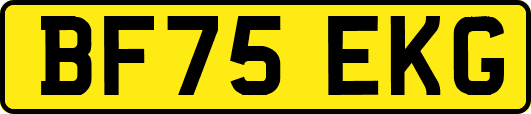 BF75EKG