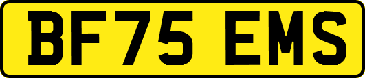 BF75EMS