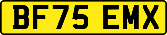 BF75EMX