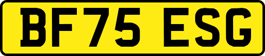 BF75ESG