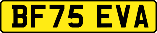 BF75EVA