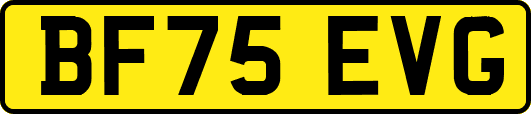 BF75EVG