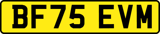 BF75EVM