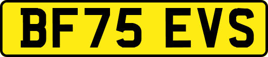 BF75EVS