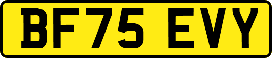 BF75EVY