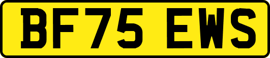 BF75EWS