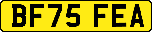 BF75FEA