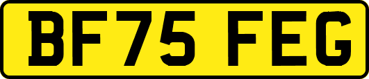 BF75FEG