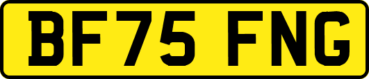 BF75FNG