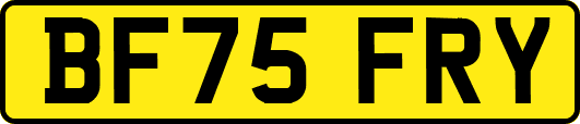 BF75FRY