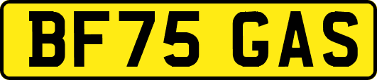 BF75GAS