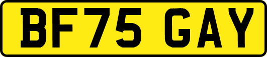 BF75GAY