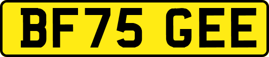 BF75GEE