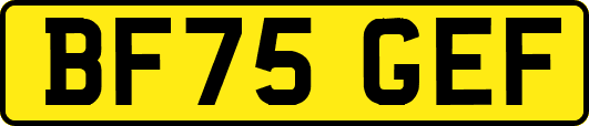 BF75GEF