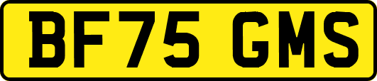 BF75GMS