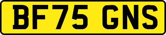 BF75GNS
