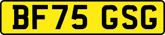 BF75GSG