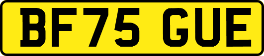 BF75GUE