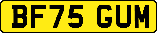 BF75GUM