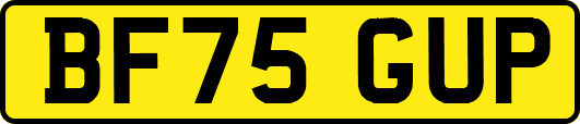 BF75GUP