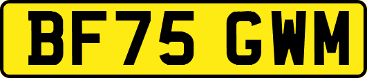 BF75GWM