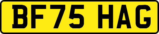 BF75HAG