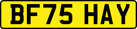 BF75HAY