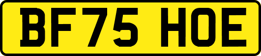 BF75HOE