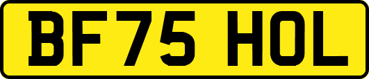 BF75HOL
