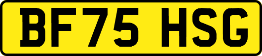 BF75HSG