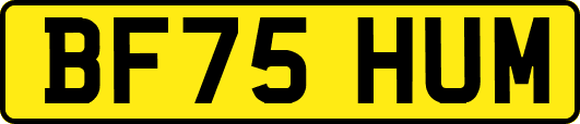 BF75HUM