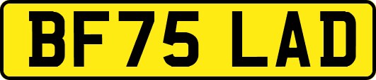 BF75LAD
