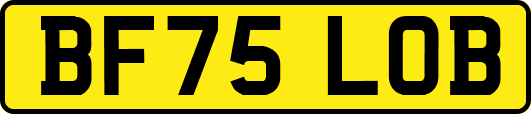 BF75LOB
