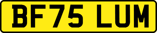 BF75LUM