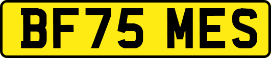 BF75MES