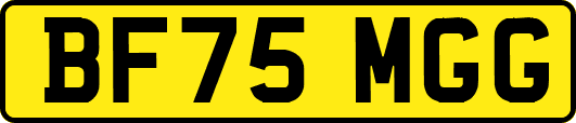 BF75MGG