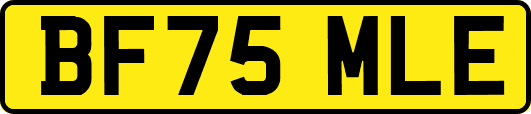 BF75MLE