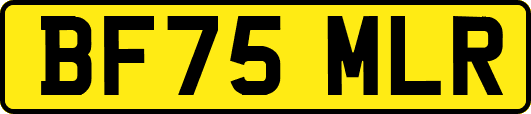 BF75MLR