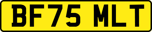 BF75MLT