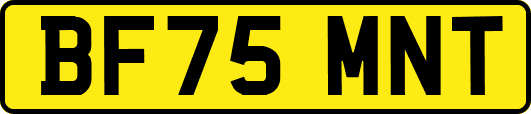 BF75MNT