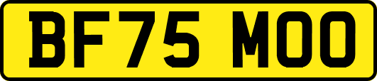 BF75MOO