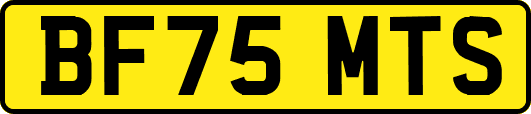 BF75MTS