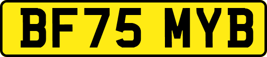 BF75MYB