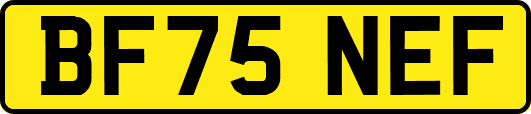 BF75NEF
