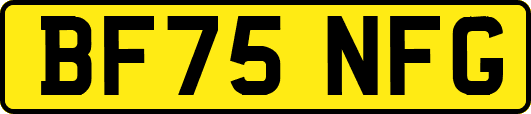 BF75NFG