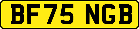 BF75NGB