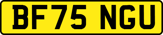 BF75NGU