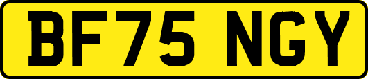 BF75NGY
