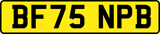 BF75NPB
