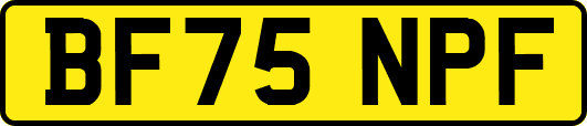 BF75NPF